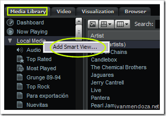 add smart view